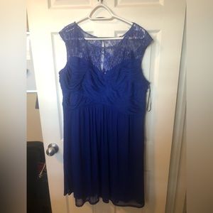 Gorgeous indigo knee length dress